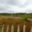 DSC00168.JPG