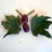 Nature_CMA-011.JPG