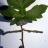 DSCN0042.JPG