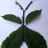 DSCN0043.JPG