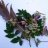 DSCN0060.JPG