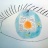 Oeil-015.jpg