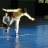 IMG_20201218_110343.jpg