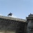 IMG_20190701_114649.jpg