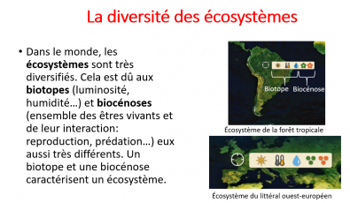 Echelle_des_ecosystemes.PNG
