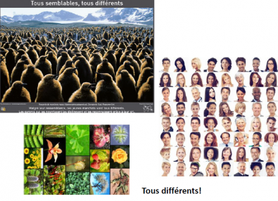 Tous_differents.PNG