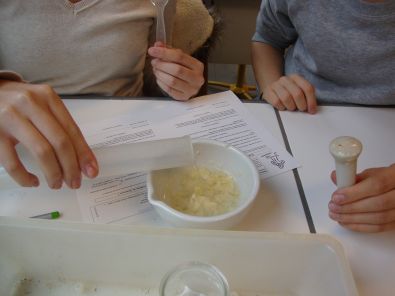 DSC01224.JPG, oct. 2011