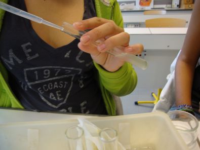 DSC01229.JPG, oct. 2011