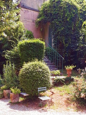 Jardin.jpg