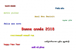 Bonne_annee_2018_blog.png