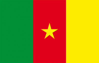 flag_cameroun.png
