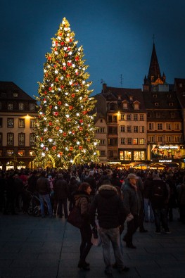 Strasbourg_capitale_de_Noel_grand_sapin_2014_02.jpg