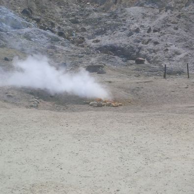 IMG_20150415_122915.jpg, avr. 2015