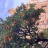 IMG_0482.jpeg