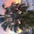IMG_0516.jpeg