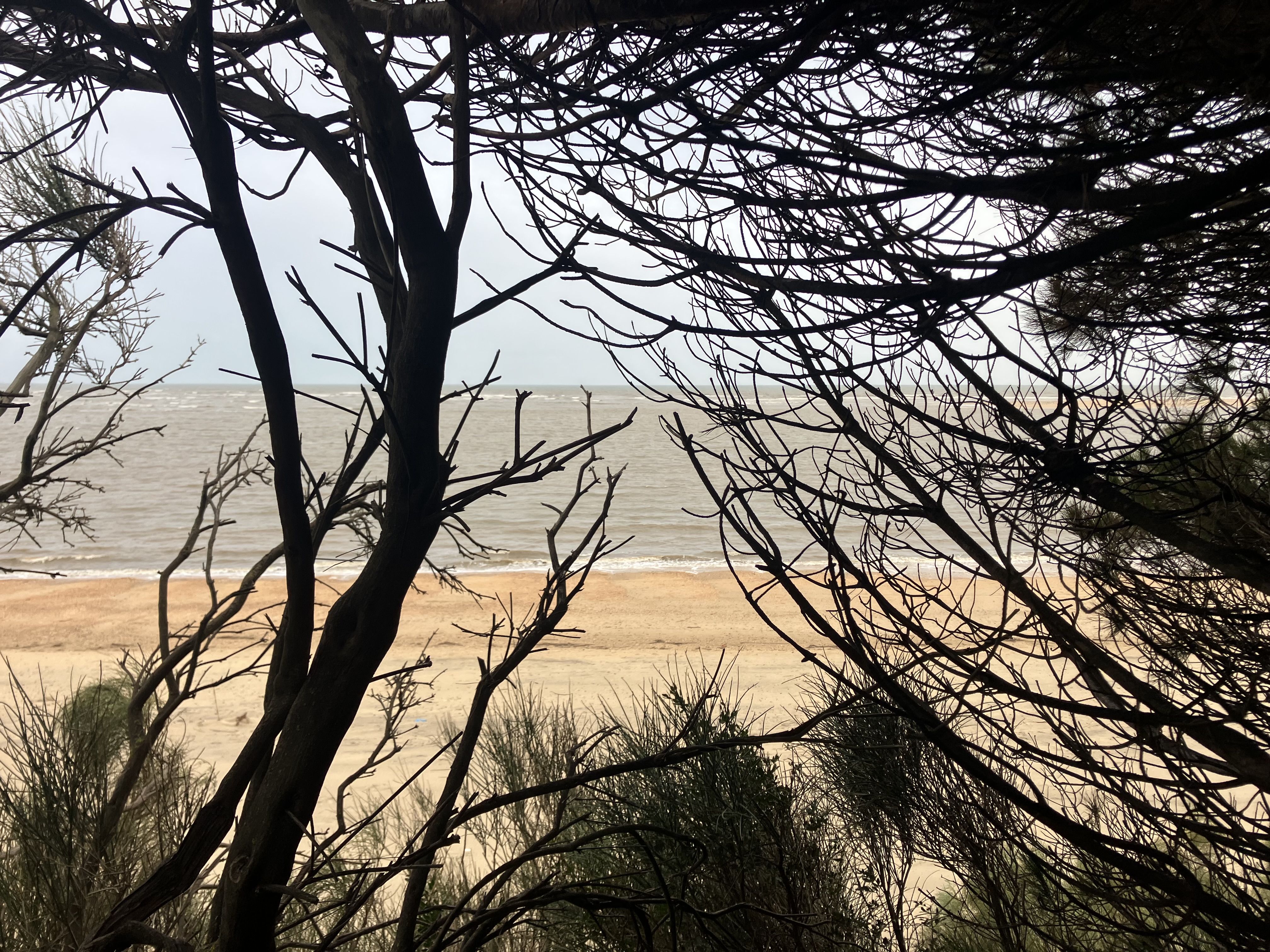 IMG_0566.jpeg