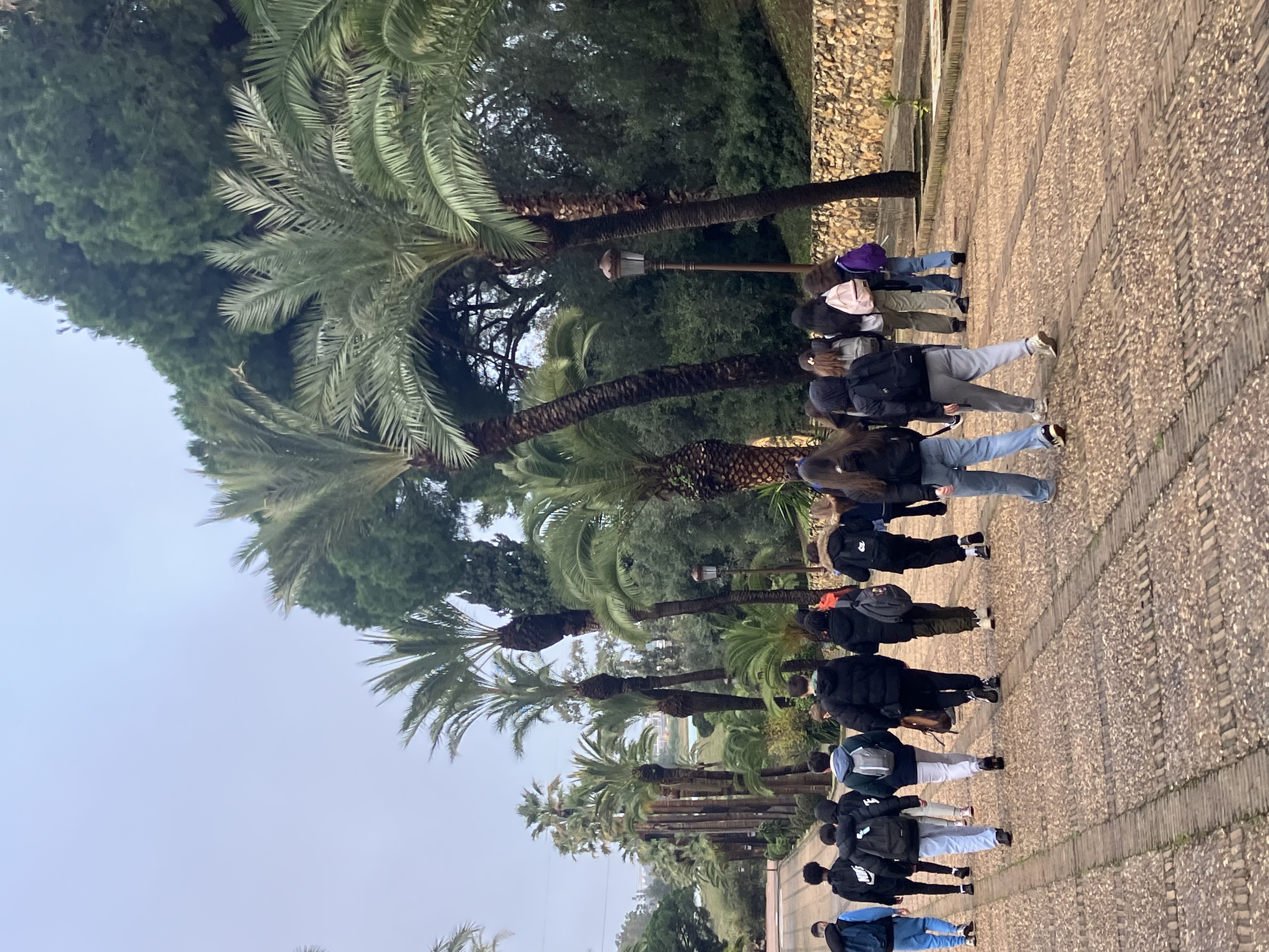 IMG_0674.jpeg