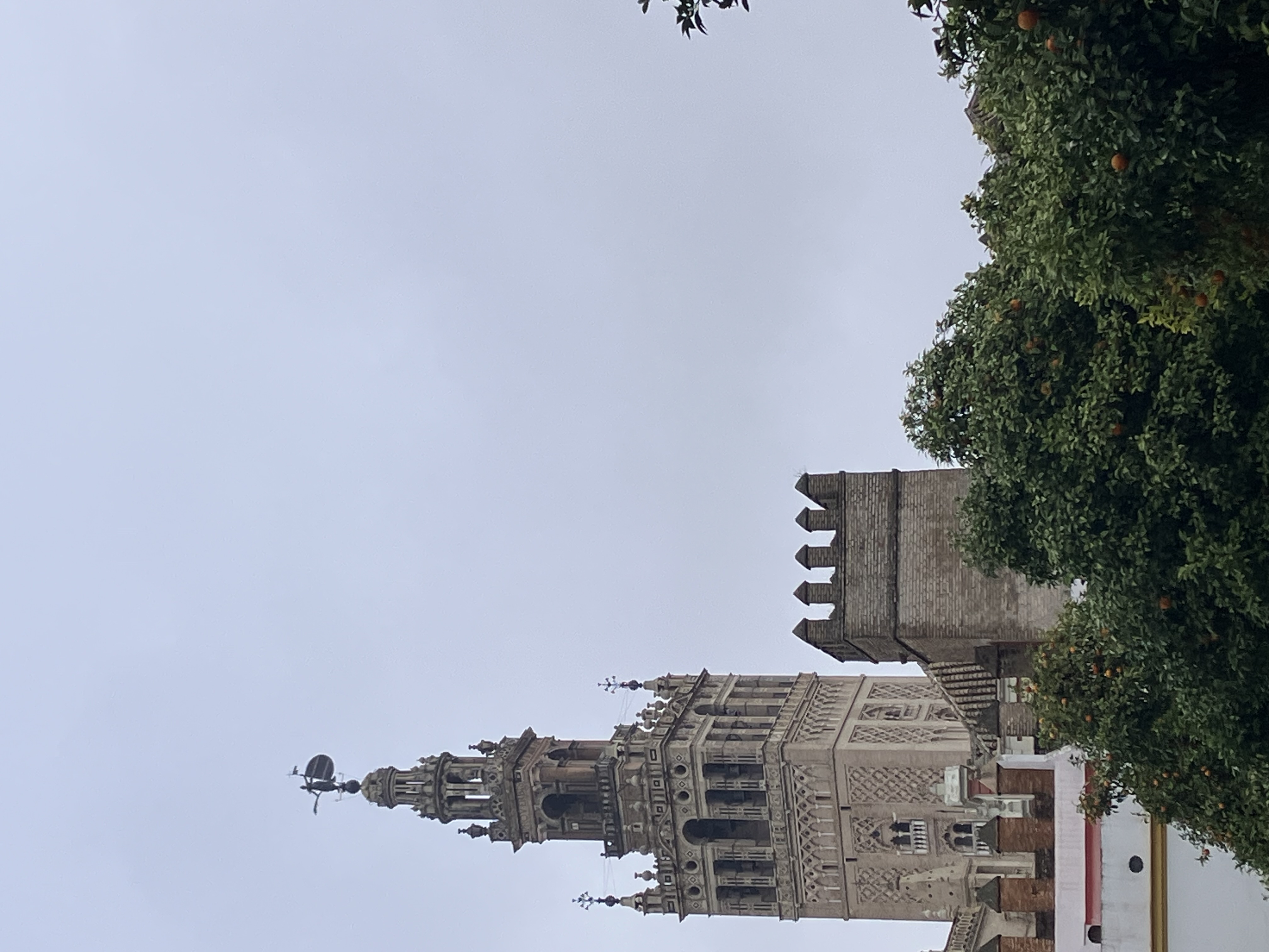 IMG_0735.jpeg