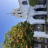 IMG_0930.jpeg