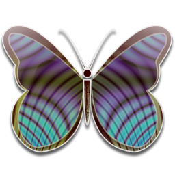 butterfly__5_.png